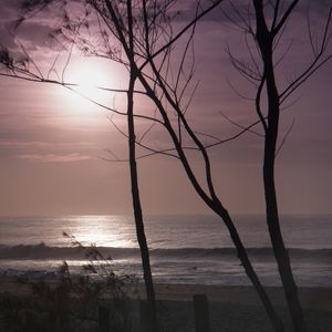 NASCER DO SOL_PURPLE_ARVORES_PRAIA DO RECREIO_RJ_90X90