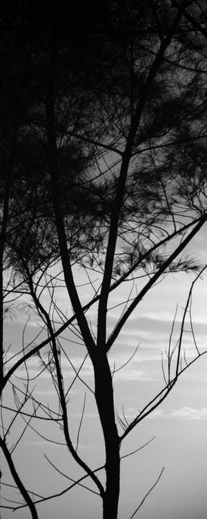 NASCER DO SOL_PRAIA DA MACUMBA_RJ_PB_ 48X120