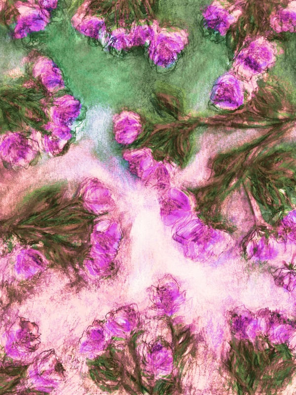 SPASTIC FLORAL 3, FLORAIS COLORIDO AGUARELA FLORES JARDIM PINTURA