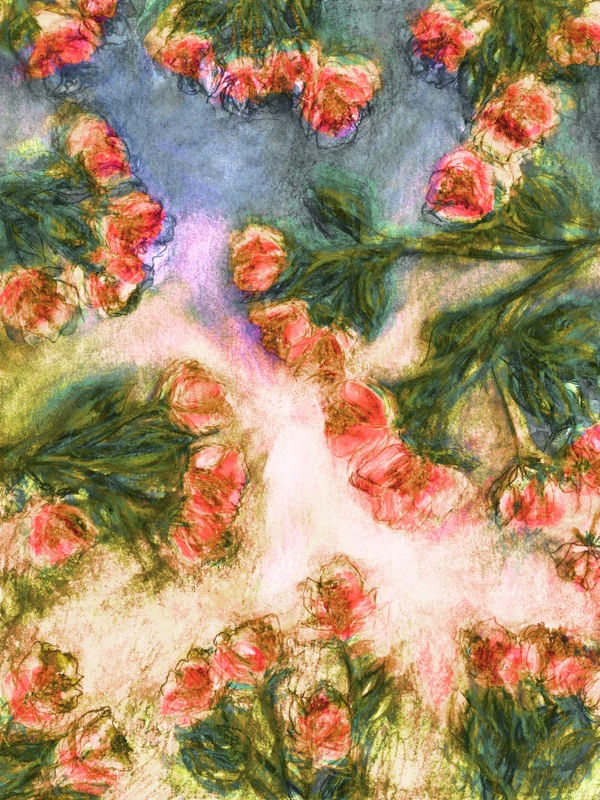 SPASTIC FLORAL 4, FLORAIS COLORIDO AGUARELA FLORES JARDIM PINTURA