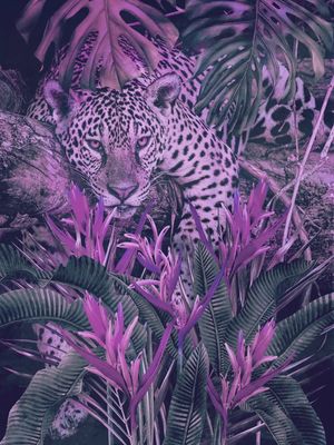PINK JAGUAR AT HOME BY TAS