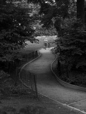 HOMEM COM BICICLETA NO CENTRAL PARK