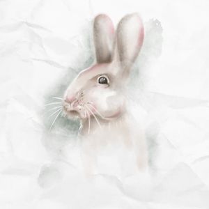 COELHO AQUARELA
