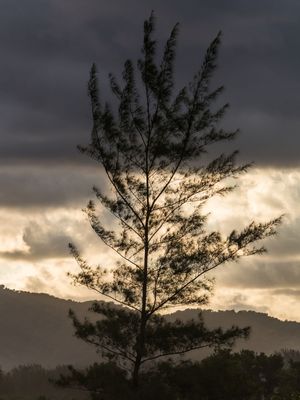 LUZ DE TEMPESTADE