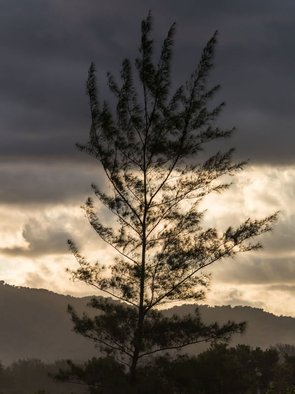 LUZ DE TEMPESTADE