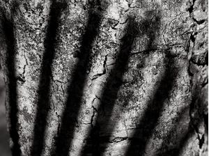 SOMBRAS ABSTRATAS 0205