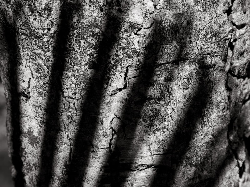 SOMBRAS ABSTRATAS 0205
