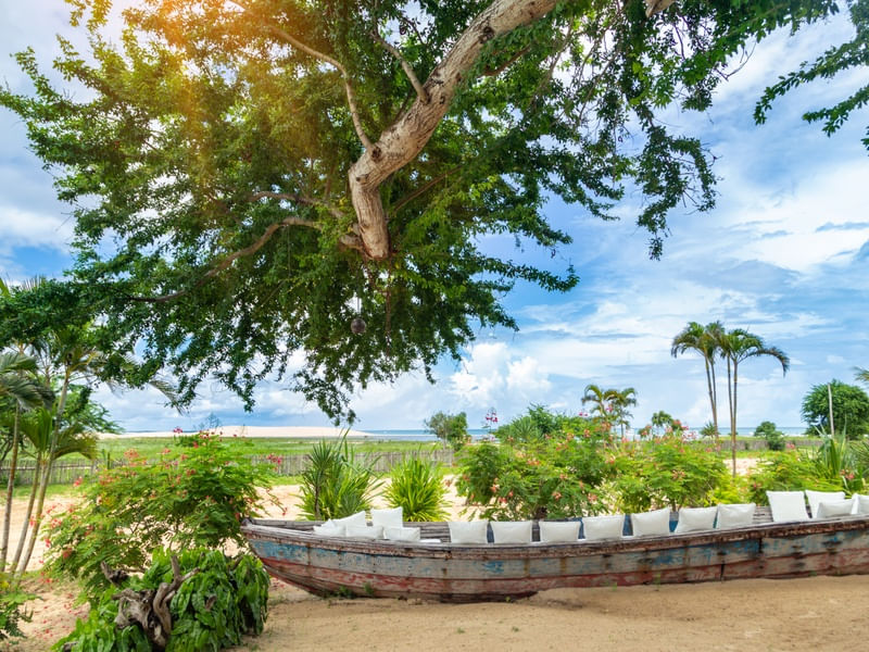 JERICOACOARA ART