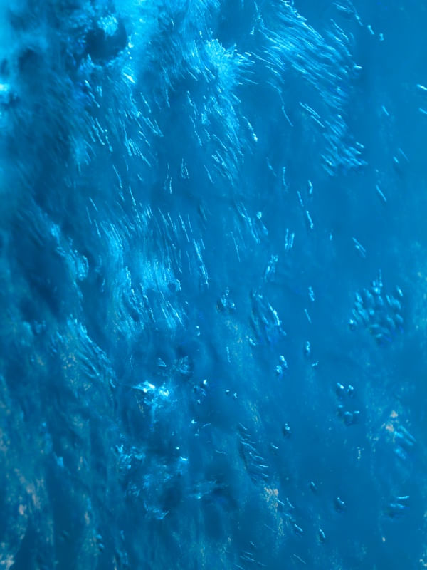 AQUA NEON IV