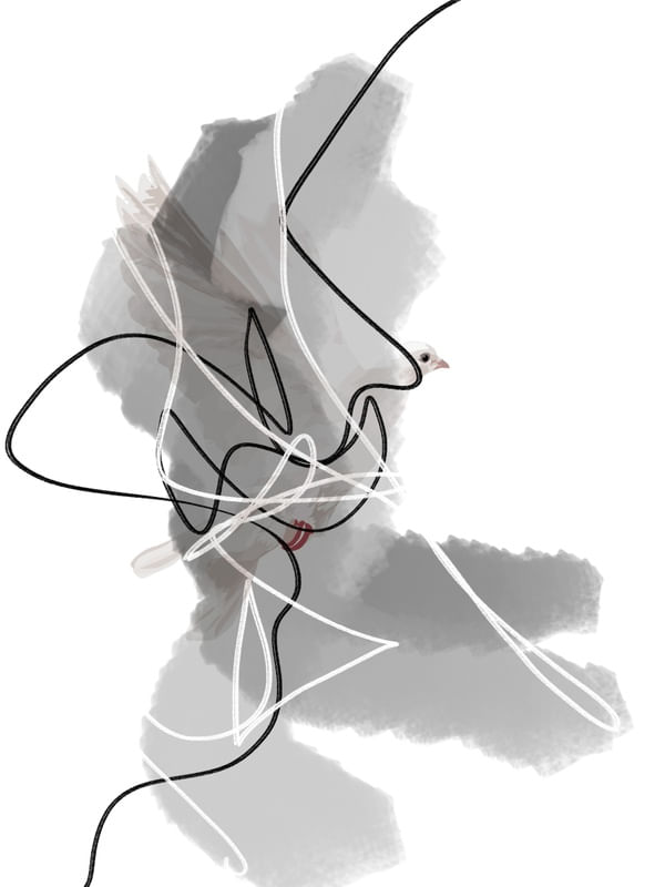 ABSTRATO DS PAZ