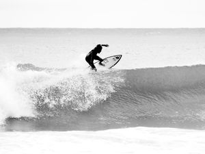SURF MOLE