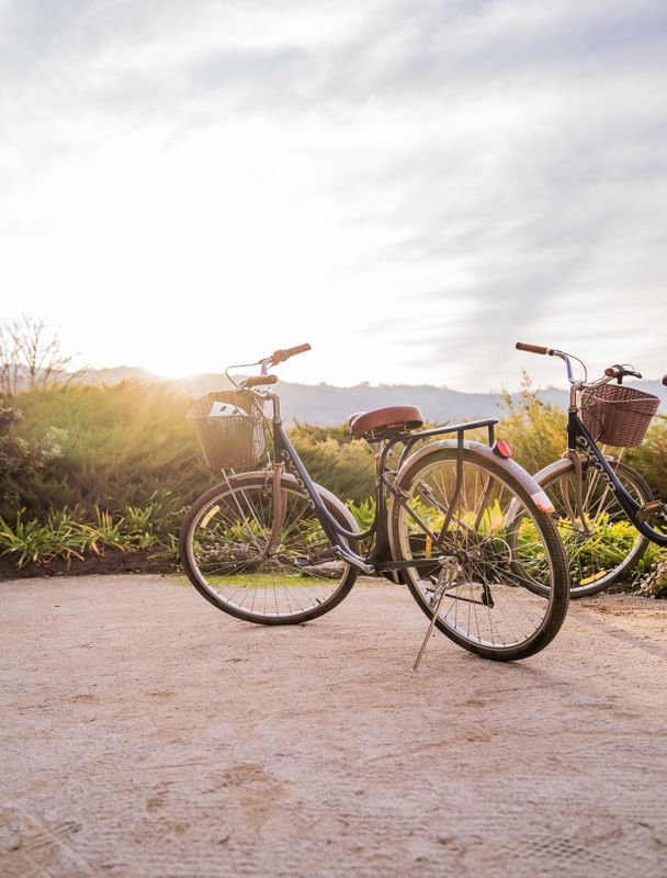 BICICLETA RETRO