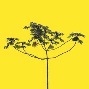 NATUREZA - 3226C