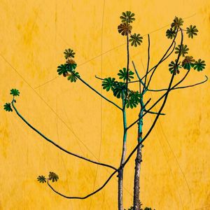NATUREZA - 1534