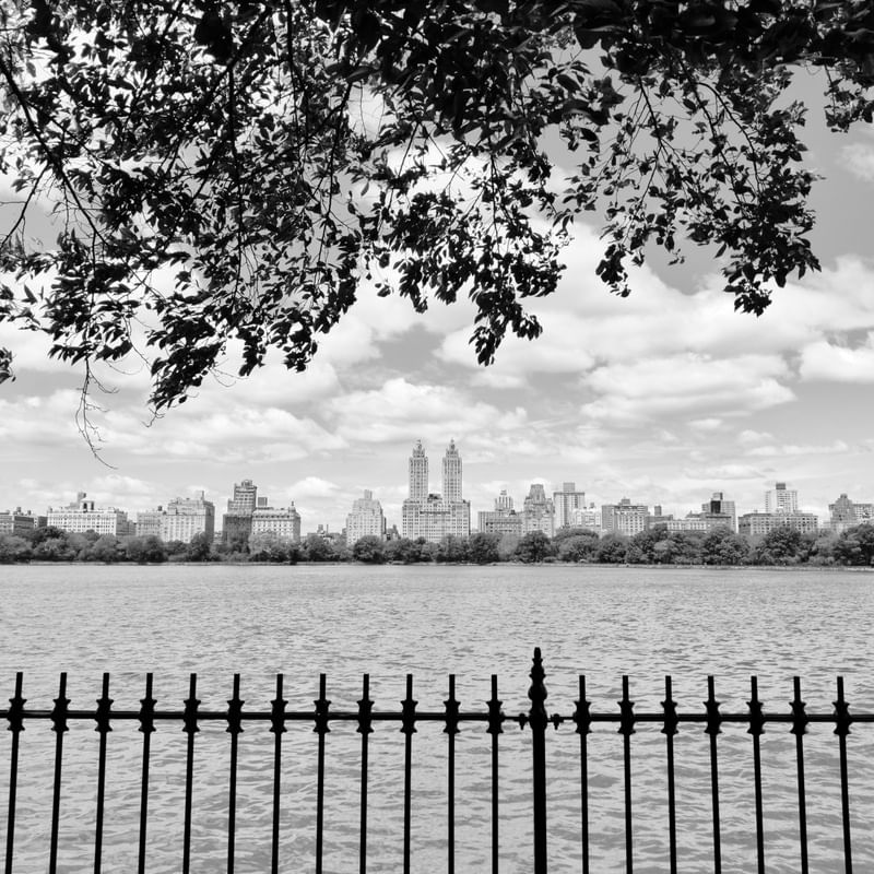 NYC - CENTRAL PARK QPB