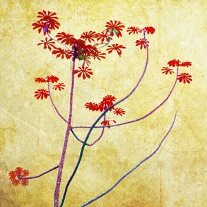 NATUREZA - 3156B