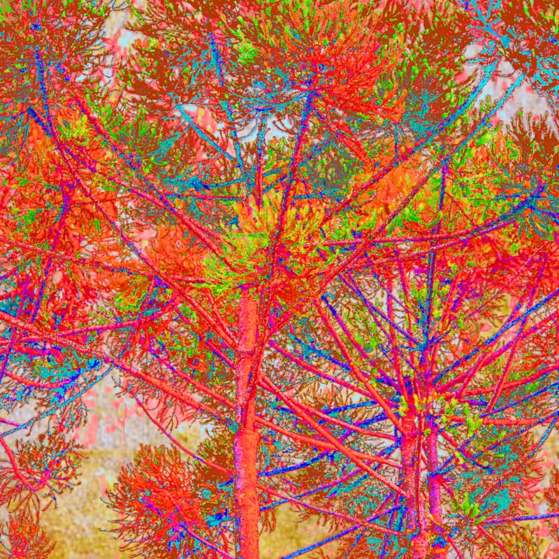 NATUREZA - 6037
