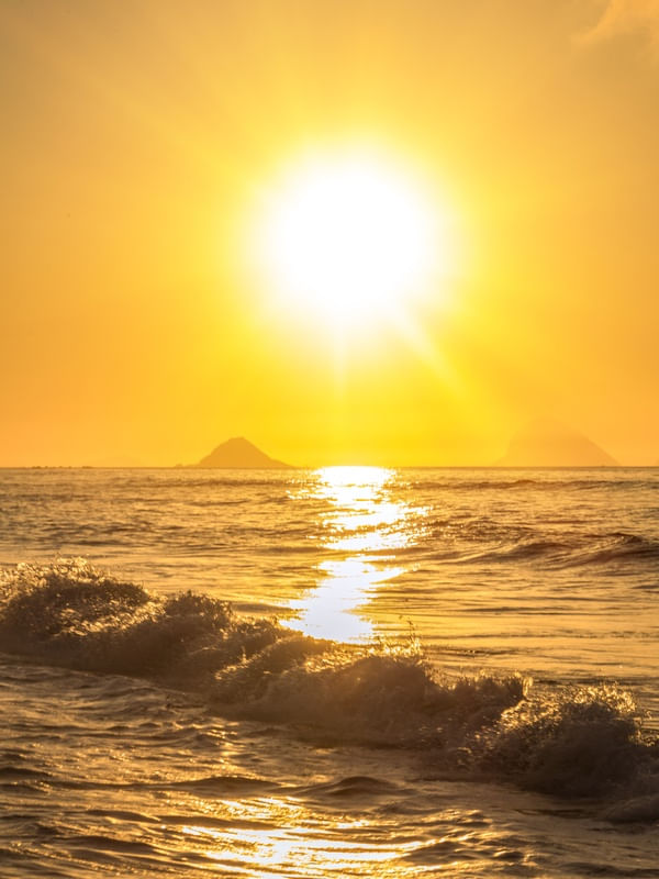 SUN RETRATO