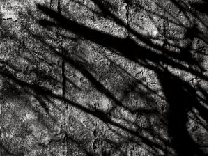 SOMBRAS ABSTRATAS 0212
