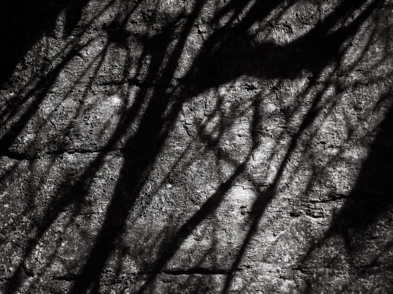 SOMBRAS ABSTRATAS 0213