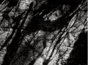 SOMBRAS ABSTRATAS 0218