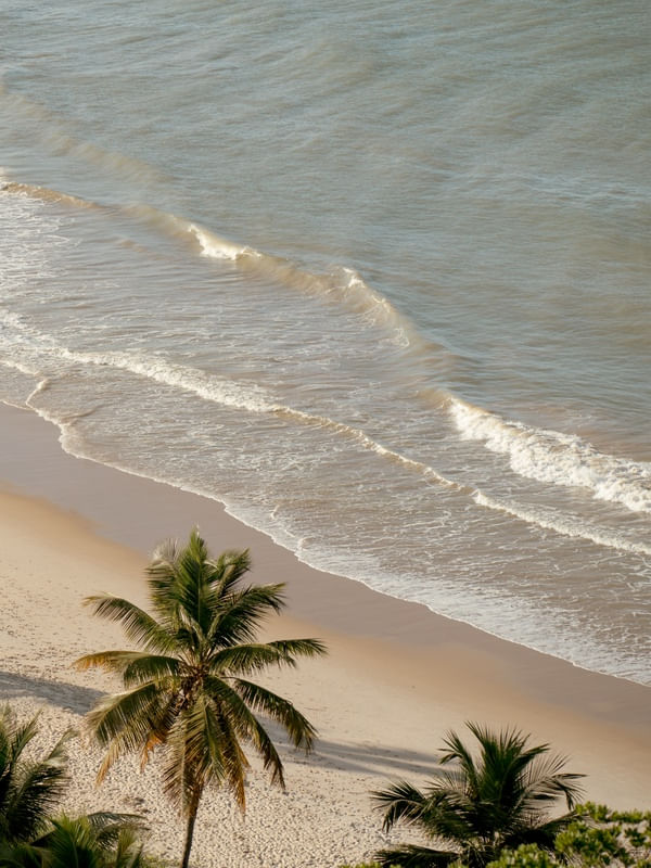 DIPTICO PARTE 2 - PRAIA DE COQUEIRINHO - PB