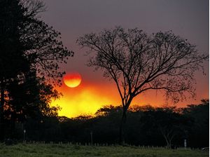 POR-DO-SOL DE AGOSTO