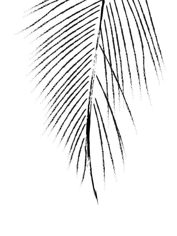 MINIMAL BLACK & WHITE - LEAVES 01