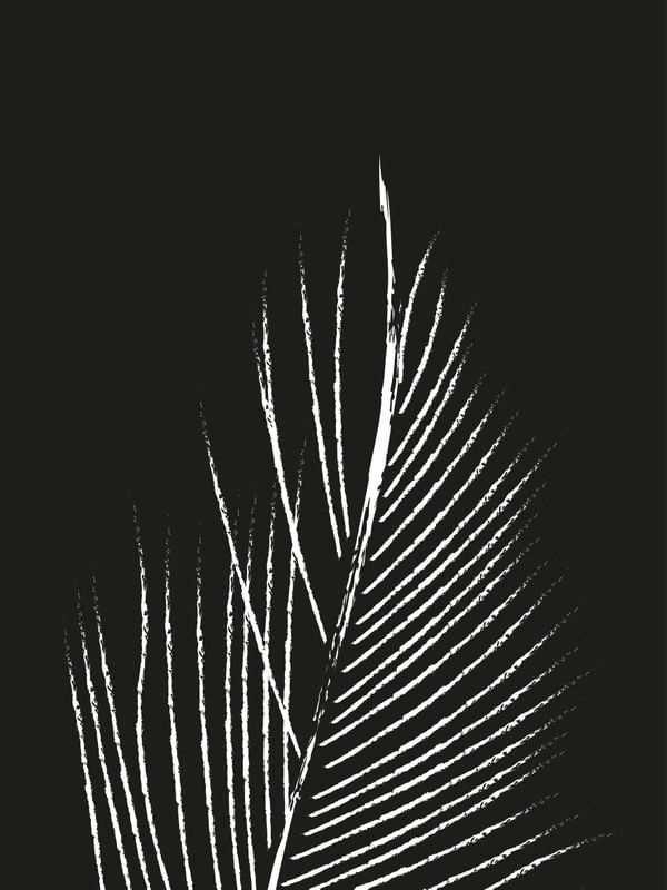 MINIMAL BLACK & WHITE - LEAVES 05
