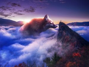 MAGIC FOX