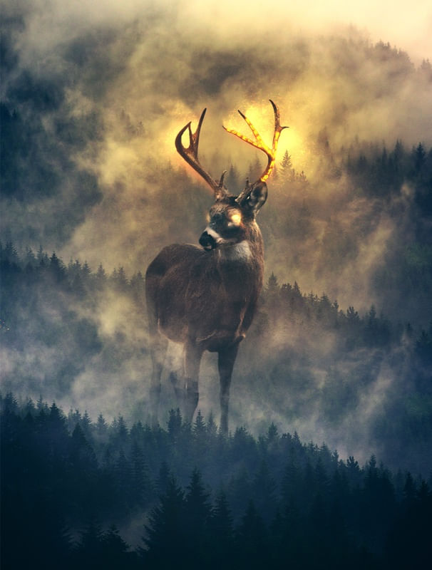 FOREST SPIRIT
