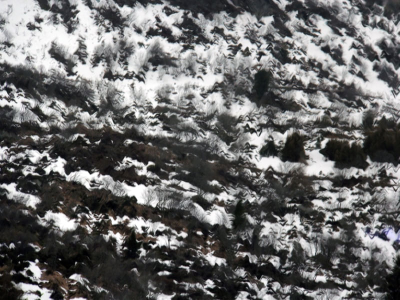 ABSTRATO MONTANHA II