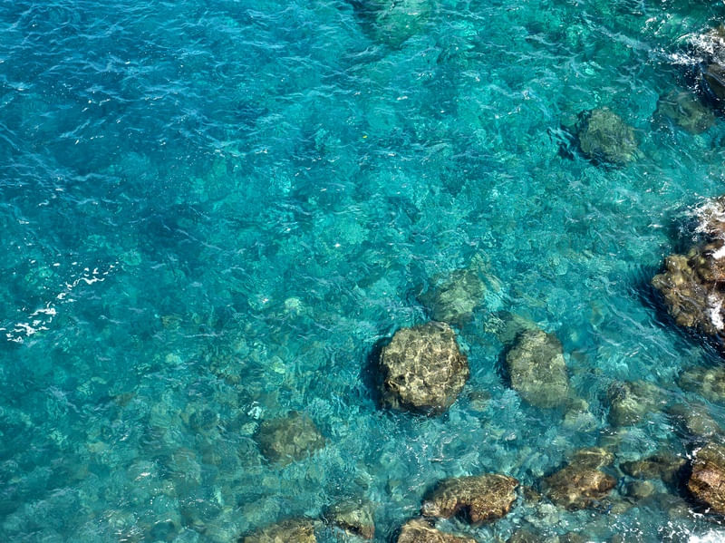 DREAM BLUE SEA