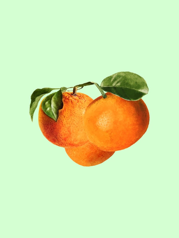 LARANJA VERÃO