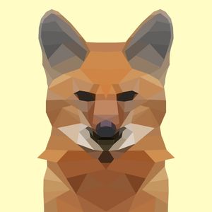 POLYGON LOBO GUARA