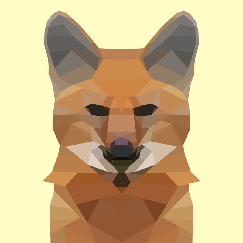 POLYGON LOBO GUARA