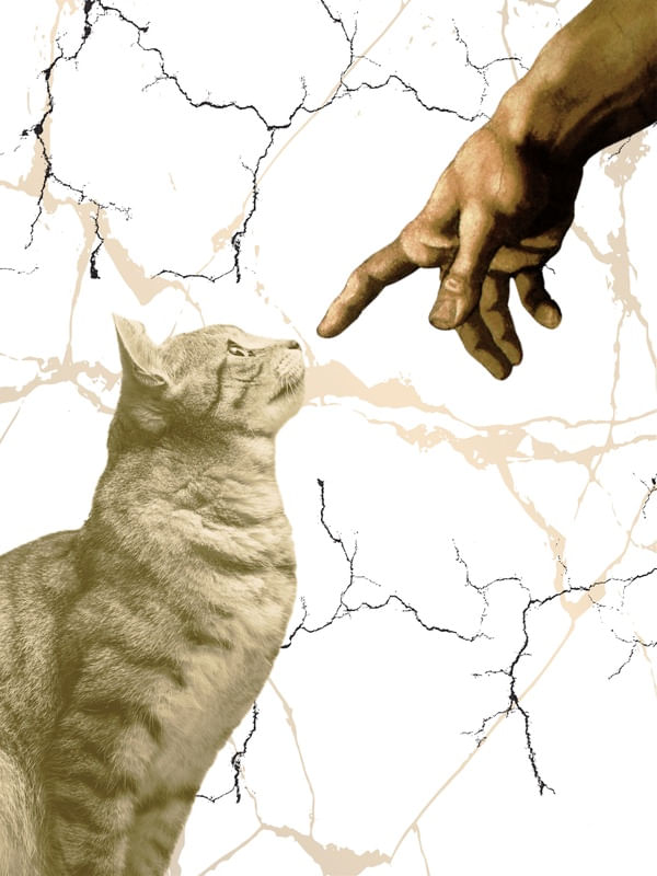 A CRIAÇÃO DE ADÃO E GATO
