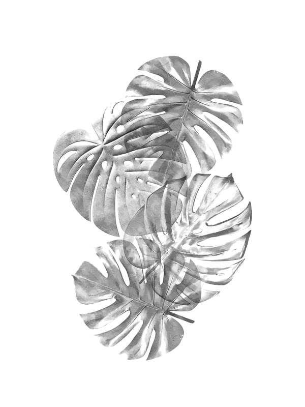 URBAL FLORA 2