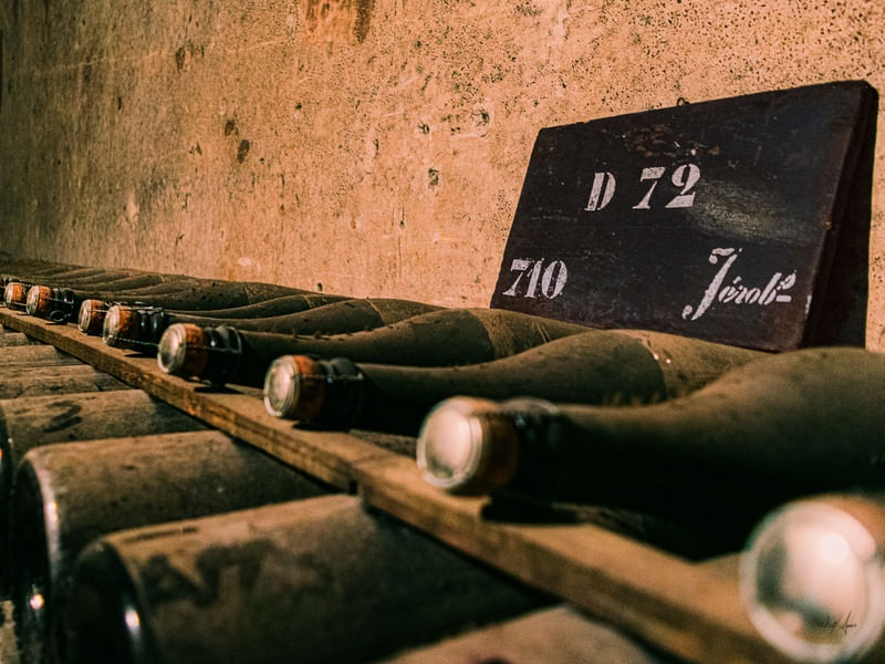 CHAMPAGNE - UMA CAVE DE VINHO