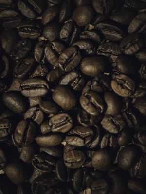 GRÃOS DE CAFÉ MARROM