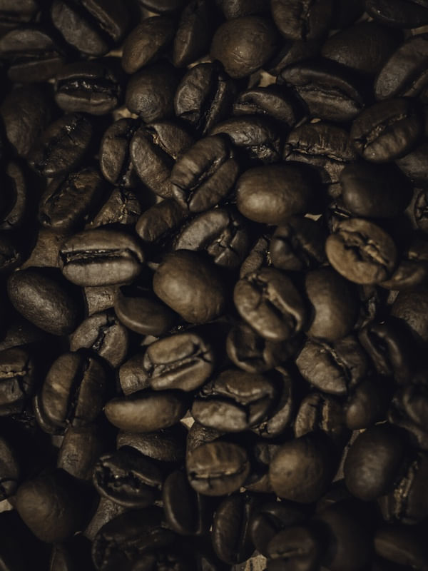 GRÃOS DE CAFÉ MARROM
