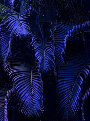 NEON JUNGLE 4