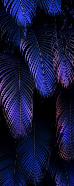 NEON JUNGLE