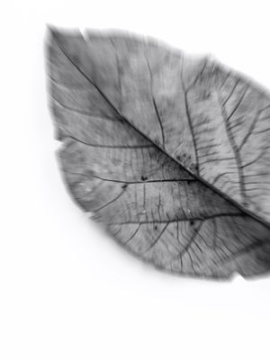 MINIMALISM 001