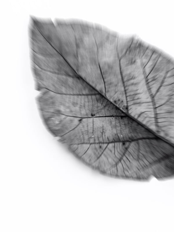 MINIMALISM 001