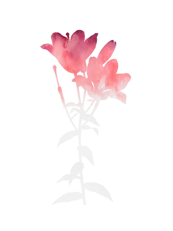 AQUARELA SBINDIO 02