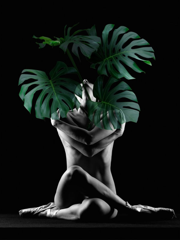 NATURE WOMAN DS