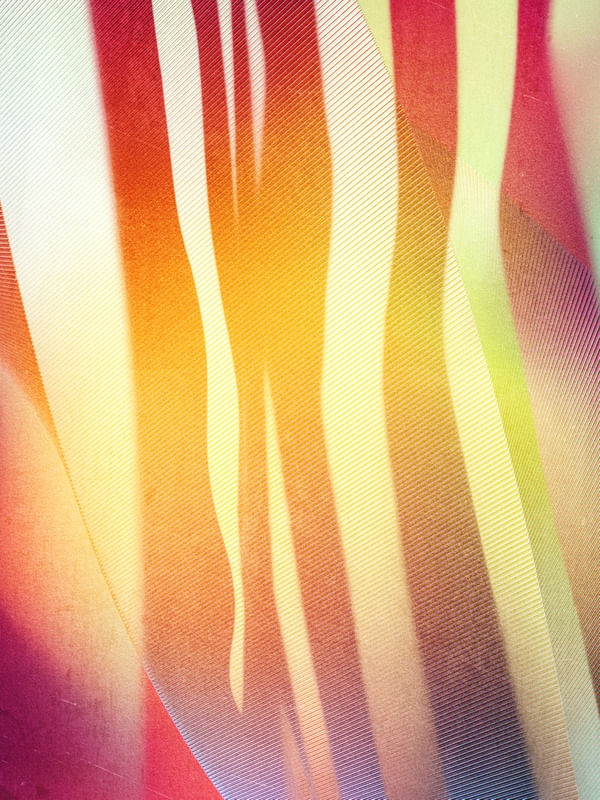 CARNIVAL 2