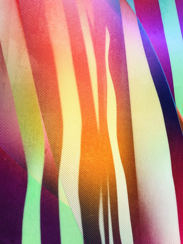 CARNIVAL 3