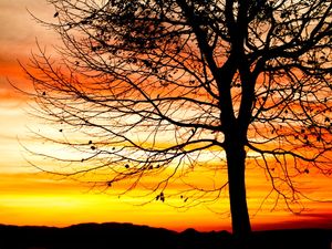 POR DO SOL SERRA